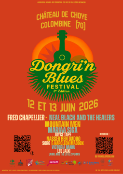 Dongri'n Blues Festival