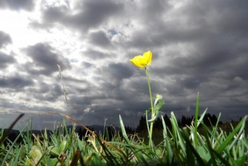 EXPO PHOTO Nature et Paysages du Haut-Jura