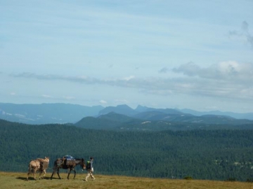 Voyage en autonomie avec un cheval et une mule à travers la France