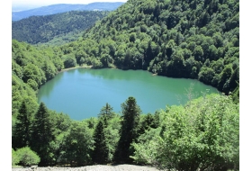 A la découverte des Vosges