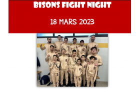 Bisons Fight Night