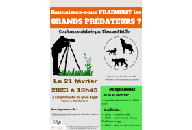 Connaissez-vous vraiment les grands prédateurs ?