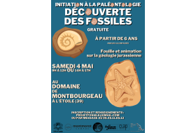 Découverte de la Paléontologie du Jura