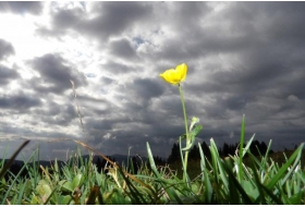 EXPO PHOTO Nature et Paysages du Haut-Jura