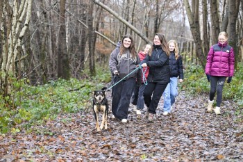 &laquo; On fait &ccedil;a pour les animaux &raquo;