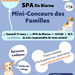 Affiche Mini-concours des familles