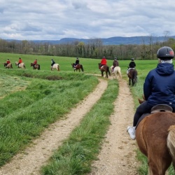 première journée de découverte de l'équitation au domaine de La Loge