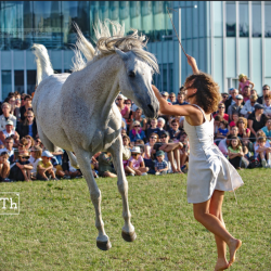 Spectacle joué à Caen - été 2018