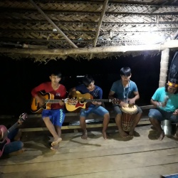 Réunion musicale en Amazonie