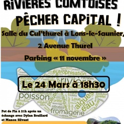 Affiche Conférence gesticulée