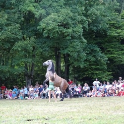 Spectacle joué à Joinville - été 2018